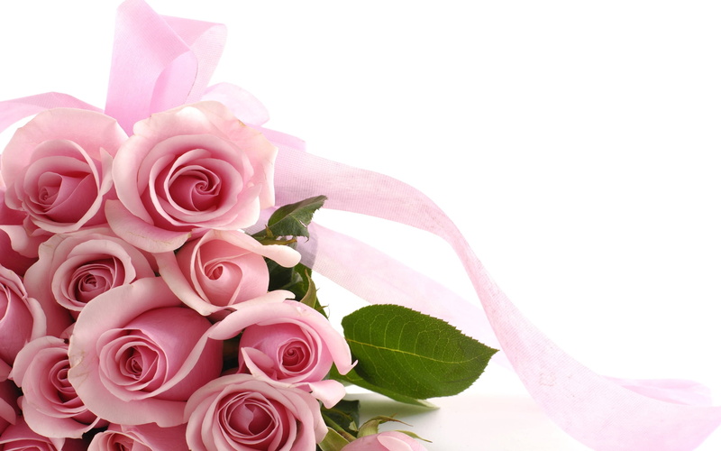 wallpapers, roses, chainsmokers, hd, 2K