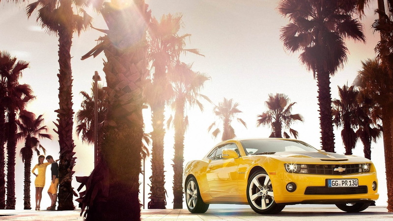 yellow cars, 1080P, art, trees, Chevrolet Camaro, palm, EU, cars, yellow, PALM TREES, chevrolet, hd, camaro