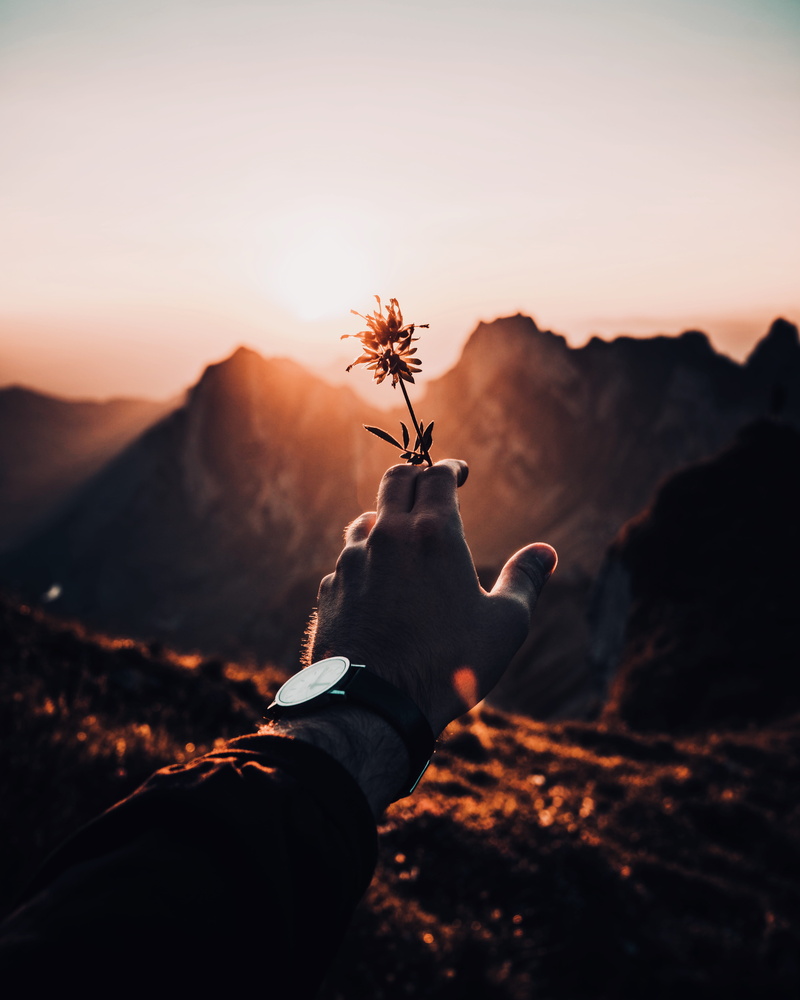 freedom, sunlight, rock - Object, sunrise, nature, fashion, bloom, back Lit, flower, reach, sky, style, outdoors, chill, mountain Peak, sun, silhouette