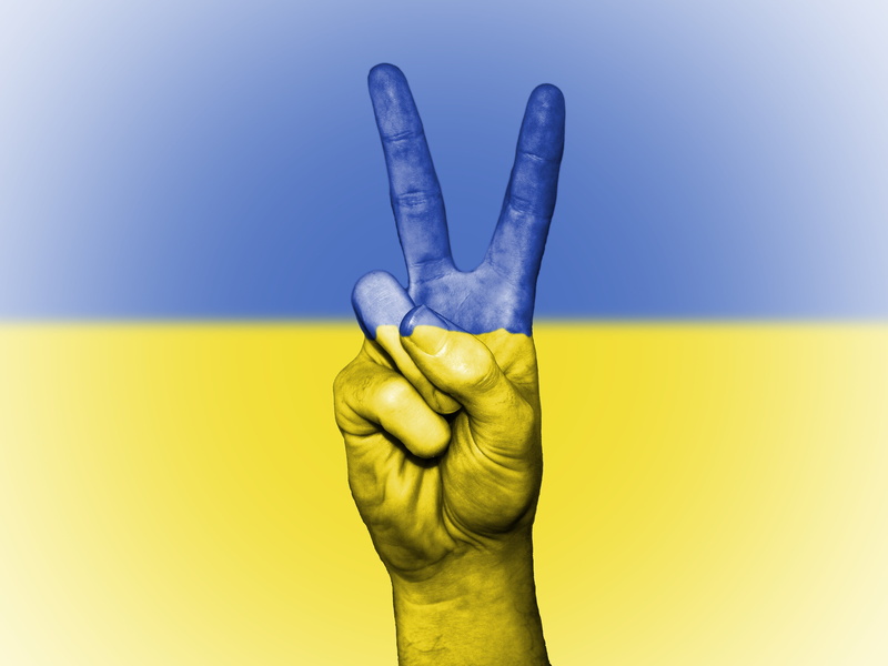 nation, finger, sign, national, one person, hand, hand sign, flag, state, gesturing, icon, human hand, people, colored background, 4K, studio shot, country