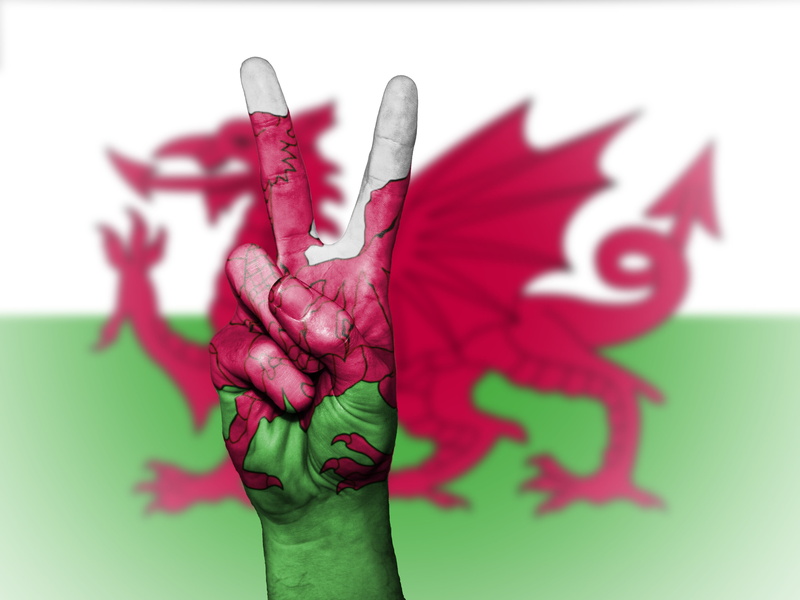 country, 4K, human finger, colors, peace, flag, adult, festival, hand, finger, nation, national, tourism, ensign, red, close-up, background, people, gesturing