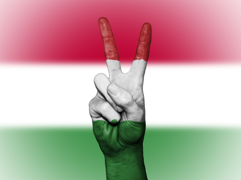 4K, hungary, indoors, colored background, national, symbol, peace, palm, human body part, gesturing, focus on foreground, nation, graphic, human finger