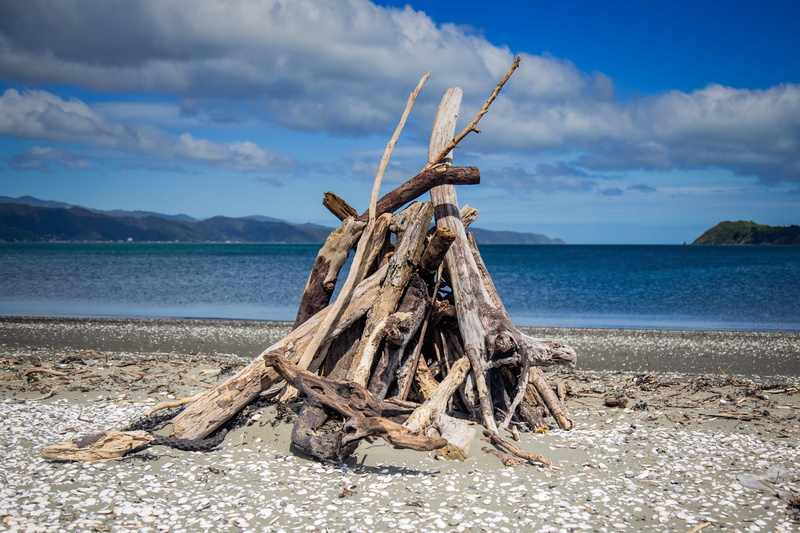scenics - nature, cloud - sky, horizon, no people, day, beach, water, wood, beach fire, tranquil scene, outdoors, nature, land, non-urban scene, dead plant