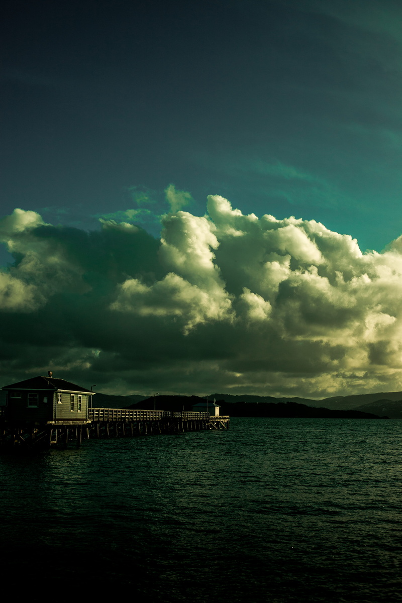 beauty in nature, lower hutt, non-urban scene, nature, ocean, built structure, building, oil depo, water, day, termianl, no people, cloud - sky, tranquility