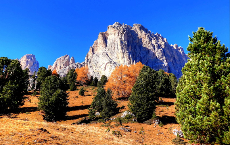 semi-arid, italy, plant, sassolungo, val gardena, panorama, outdoors, sassolungo group, rock, tree, beauty in nature, mood, alm, tranquil scene, tranquility