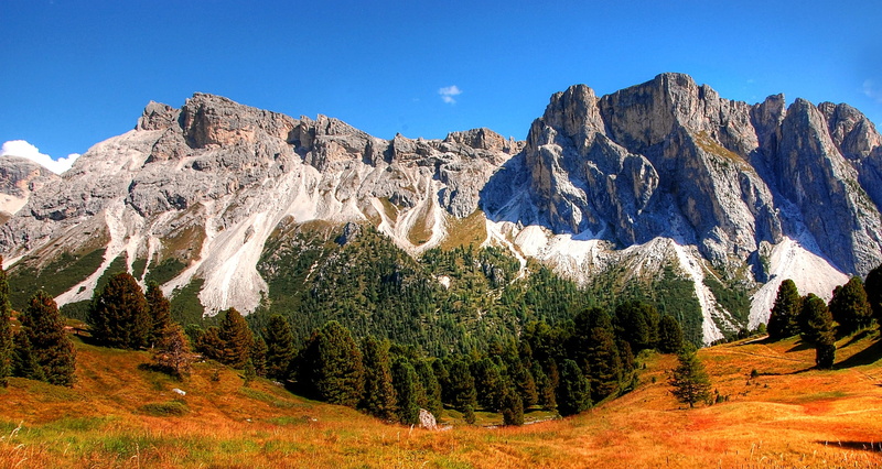 pine woodland, south tyrol, viewpoint, snowcapped mountain, beauty in nature, mood, landscape, holiday, leisure, scenics - nature, tranquil scene, great