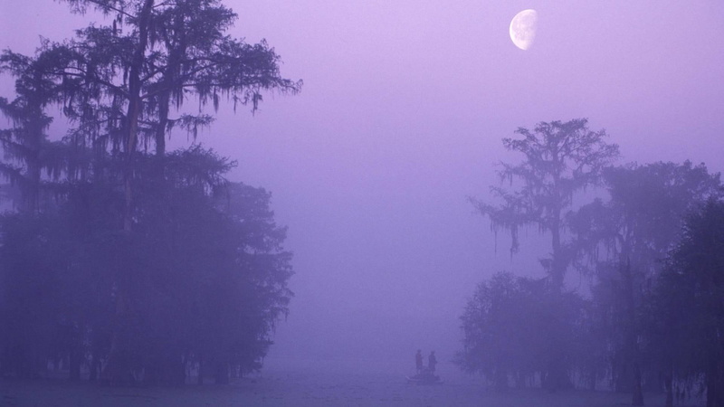 fishemen, secret, trees, bayou, 1080P, hole, louisiana, mist, fishing, nature and landscapes