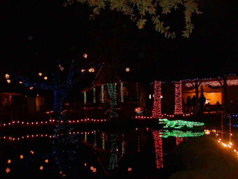 christmas, 3d and abstract, bayou christmas, cajun christmas, 1080P, christmas lights, bayou, lights