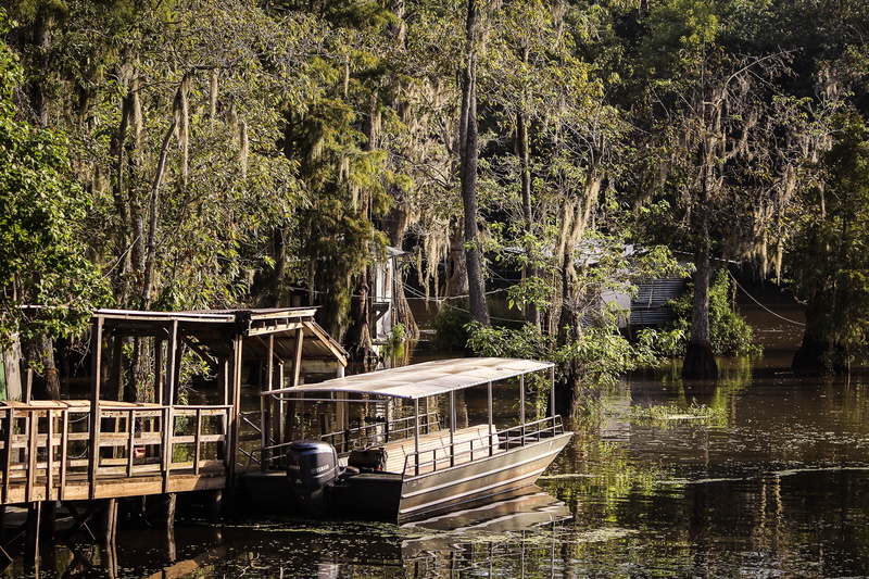 day, 5K, built structure, transportation, growth, riverboat, no people, punt, bayou, river, boat launch, louisiana, lake, spanish moss, cypress, moss