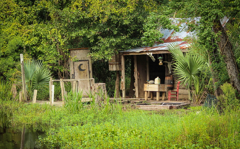 day, cajun culture, bayou cabin, field, green color, grasses, rural scene, new orleans, building, residential district, front or back yard, land, rustic