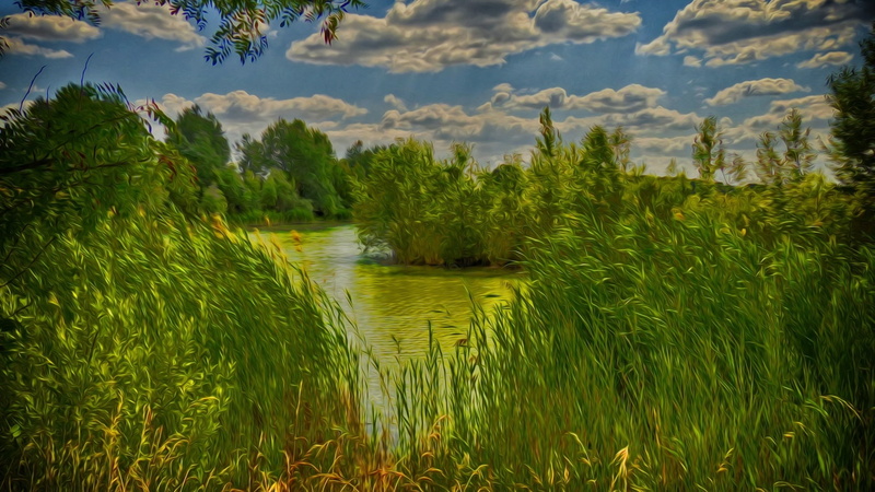 1080P, green nature, river, bayou, green, wetland, lake