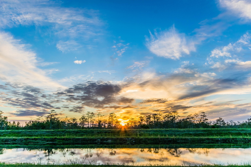 sunset, 5K, sundown, tranquility, everglades, beauty in nature, no people, cloud - sky, landscape, sky, plant, lake, swamp, grass, environment, reflection