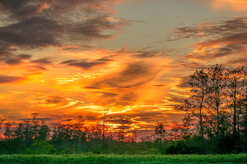 cypress, non-urban scene, dusk, nature, no people, bayou, south, beauty in nature, land, tree, sky, orange color, tranquility, scenics - nature, swamp