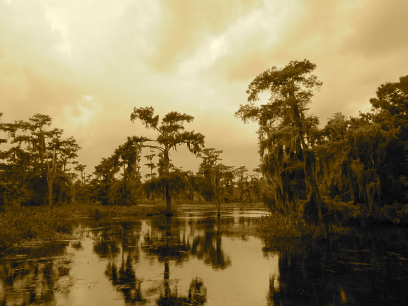 cloud - sky, 4K, Bayou, beauty in nature, Swamp, waterfront, New Orleans, Tree, no people, tranquility, nature, scenics, air boat, Lake, scenics - nature