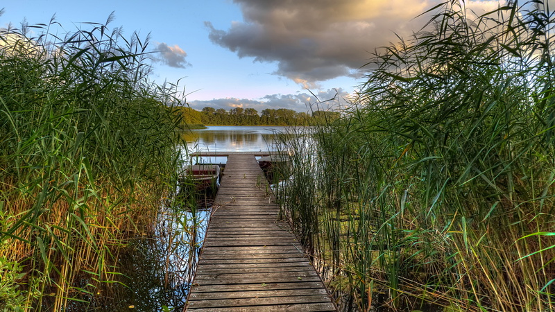 boats, jetty, landscape, plant, 4K, sky, reeds, pier, bayou, wetland, grass, water, boardwalk, boat, reed