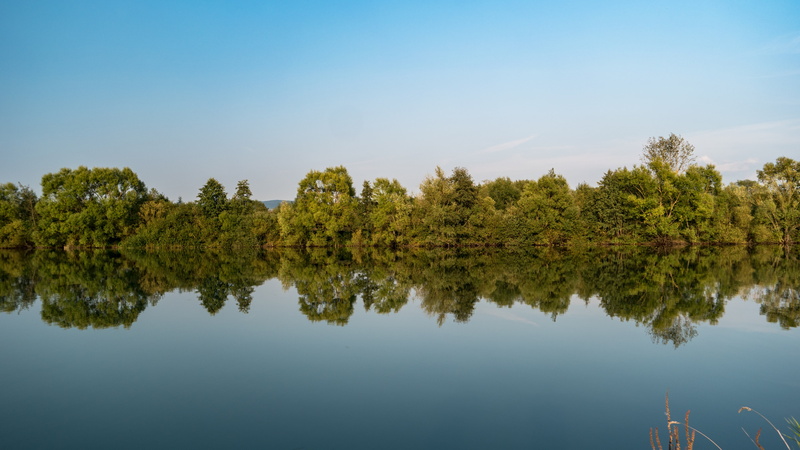 growth, bayou, reflection, sky, no people, waterfront, daytime, plant, day, scenics - nature, reflection lake, water, nature, 5k uhd, calm, 5k, tranquility