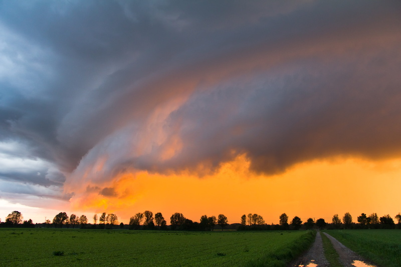 bavaria, cumulonimbus, beauty in nature, shelf cloud, power in nature, outdoors, 4K, tranquility, plant, scenics - nature, hour, meteorology, nature, thunderstorm