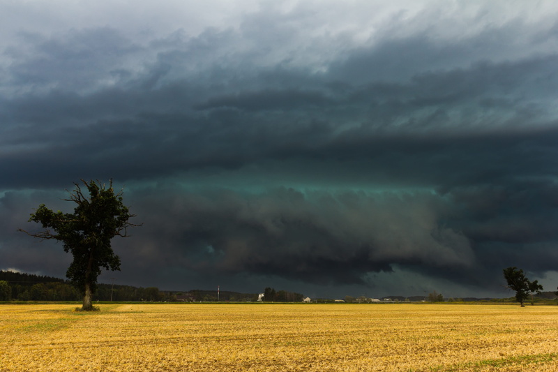 gewitterstimmung, meteorology, dramatic, tranquil scene, outdoors, plant, drama, threatening, scenics - nature, august, overcast, beauty in nature, environment