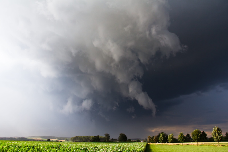 plant, sky, tree, rfd, 4K, storm cloud, precipitate, thunderstorm, cloud front, storm hunting, summer thunderstorm, clouds, clear slot, rain foot, environment