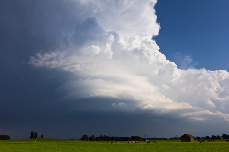 field, landscape, imposing, clouds form, summer, land, thundercloud, forward, mammal, 5K, dramatic sky, super cell, storm, a thunderstorm cell, thunderstorm