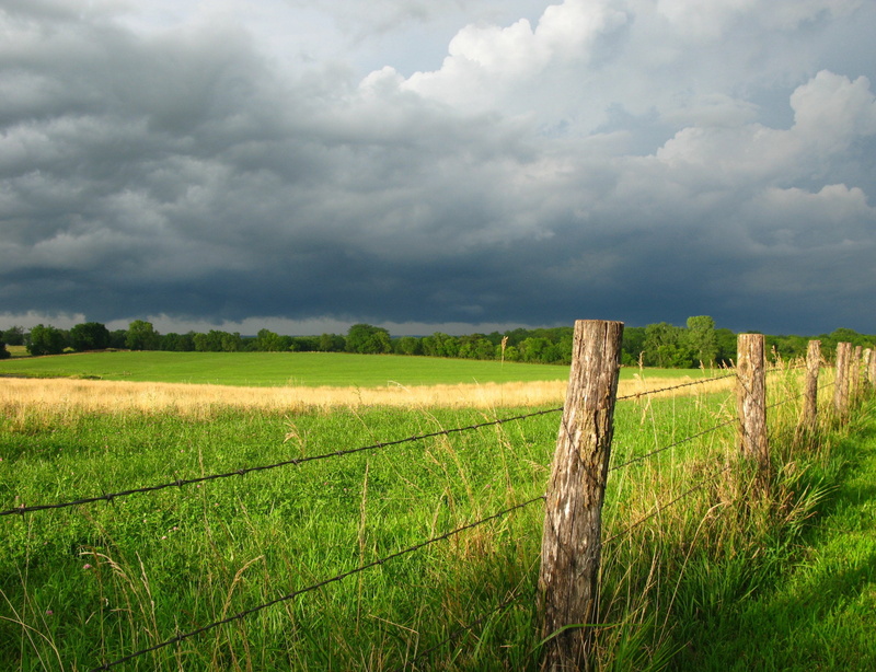 blue, green, landscape, summer, green Color, agriculture, Iowa, skies, meadow, Farmland, non-Urban Scene, fence, scenics, grass, outdoors, sky, land, rural Scene