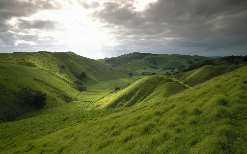 green, grass, fields, sun, dark sky, spring, cows, 3d and abstract, nature, hill, dark, skies, 1080P, sky, mountains