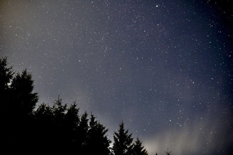 star, star field, dark skies, plant, night sky, forest, tree, space, beauty in nature, star - space, galaxy, united kingdom, nature, silhouette, low angle view