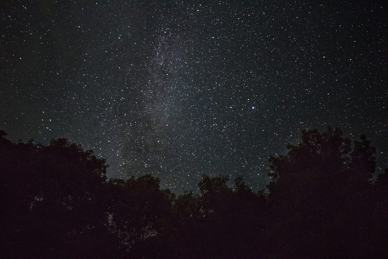 hills, night, tranquility, tree, infinity, star, night sky, plant, clear, galaxies, silhouette, sky, scenics - nature, nature, idyllic, vermont, pitch dark