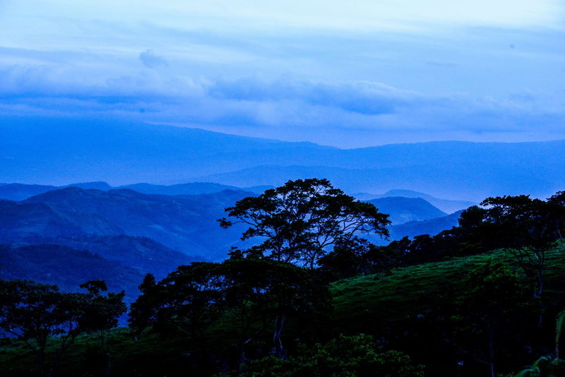 land, scenics - nature, tree, amazing, mountain, tranquility, non-urban scene, nature trai, idyllic, nature photography, plant, cloudy, blue, tranquil scene
