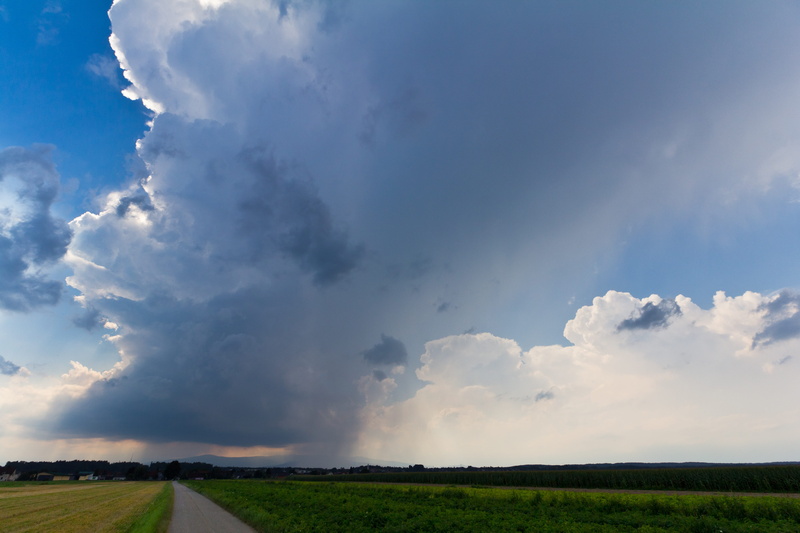 nature, fresh thunderstorm, outdoors, landscape, storm clouds, field, case strip, sky, environment, beauty in nature, plant, tranquil scene, forward, tranquility