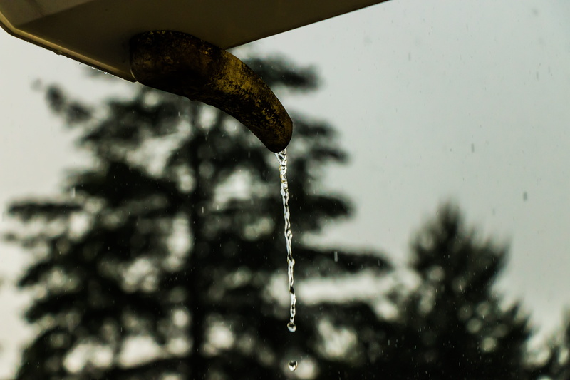 water, day, metal, cloudburst, raindrop, weather, drip, plant, flowing water, motion, nature, no people, rain, close-up, falling, selective focus, rainy