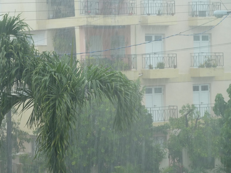storm, strömender rain, regenwand, tropical climate, shiver, tree, wet, green color, window, plant, residential district, architecture, apartment, nature