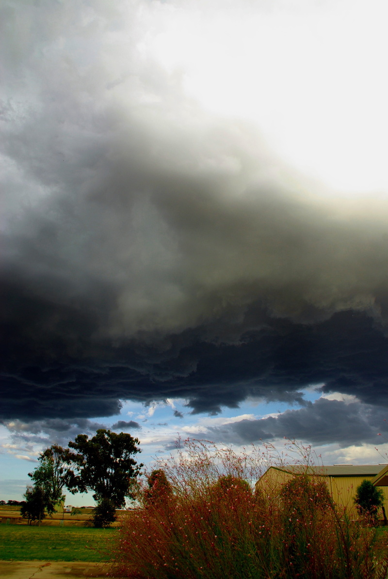 nature, cloud - sky, outdoors, atmospheric, ominous, beauty in nature, day, plant, scenics - nature, overcast, tranquil scene, dark, dangerous, threatening