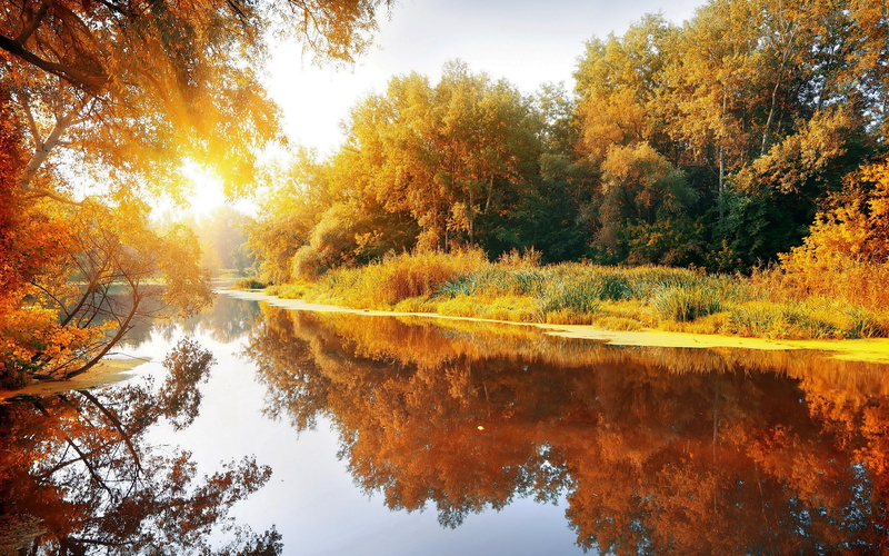 autumn, sky, landscape, daytime, trees, reflection, plant, blue, woodland, forest, scenics - nature, colors, day, autumn collection, light - Natural Phenomenon