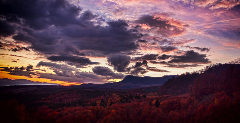 sky, region, outdoor lighting, natural, scenic, light, beauty in nature, forest, sunrise landscape, fall, sun, sunset, sunrise, autumn landscape, tranquility