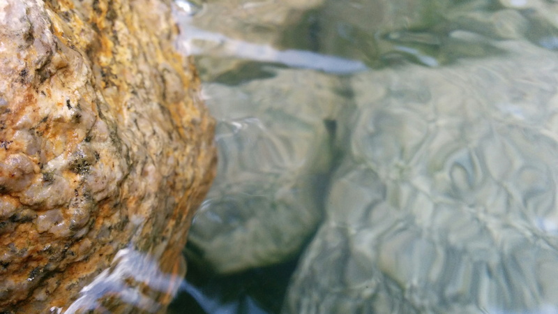 reflection, transparent, nature, extreme close-up, lake, animals in the wild, animal, animal themes, rock - object, animal wildlife, 2K, no people, water