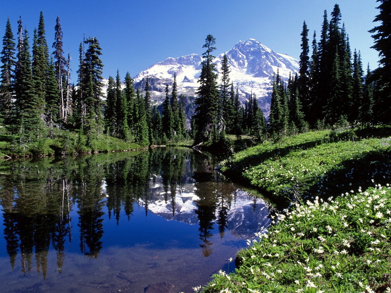 green Color, river, no People, nature, coniferous tree, mountains, snowcapped mountain, travel, pine woodland, outdoors, trees, environment, plant, scenics