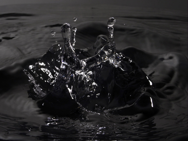 no People, freshness, black Color, purity, lake, refreshment, animal wildlife, liquid, rippled, cold - Temperature, water spray, falling, high-speed photography