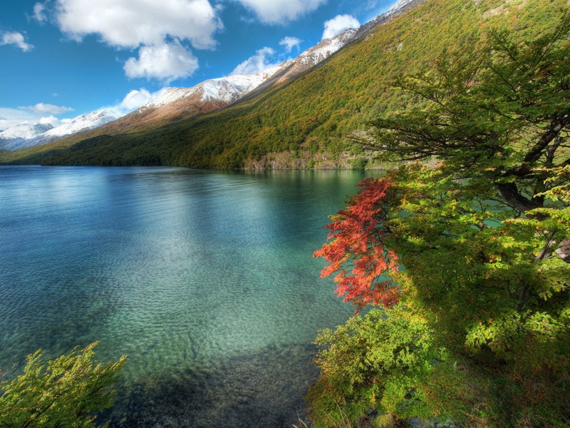 beauty In Nature, transparent, sunlight, tranquil Scene, river, panoramic, cloud - sky, rock - Object, green, vacations, nature, summer, lake, forest, blue