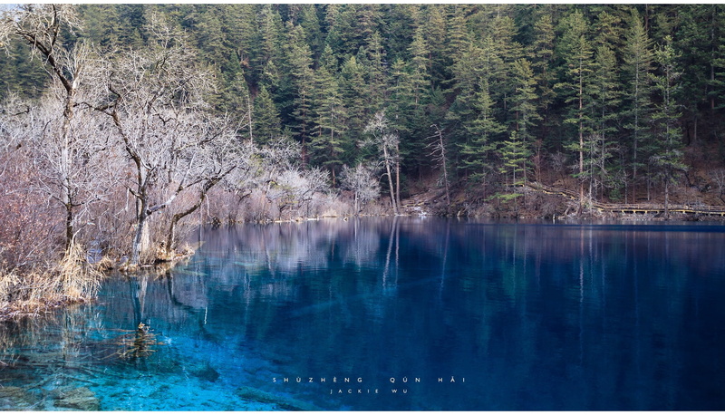 power in nature, blue water, trees, wood, coast, environment, nature, transparent, woodland, land, beauty In Nature, forest, lake, pine woodland, outdoors