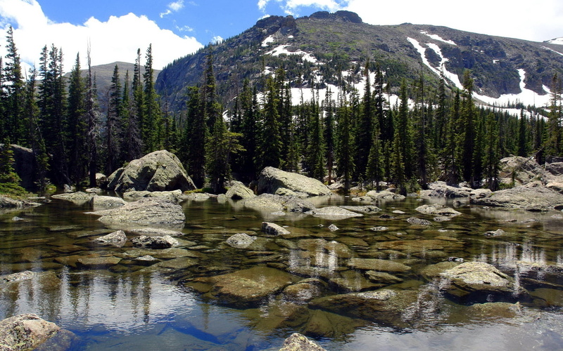 water, pine Tree, woodland, 720P, extreme Terrain, mountain, mountains, mountain Range, rocky Mountains, stream, day, waterfront, rock - Object, fir-trees