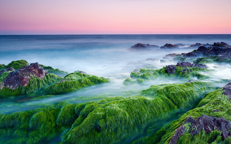 cloud - Sky, idyllic, sand, coastline, sunset, rock, moss, beauty In Nature, rock - Object, scenics, green, sea, beach, tranquility, environment, sunrise - Dawn