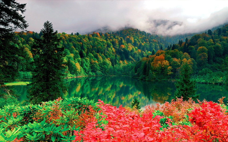 evaporation, hd, beauty in nature, trees, scenery, land, mountain, water, beautiful, reflection, change, tranquil scene, leaves, green, forest