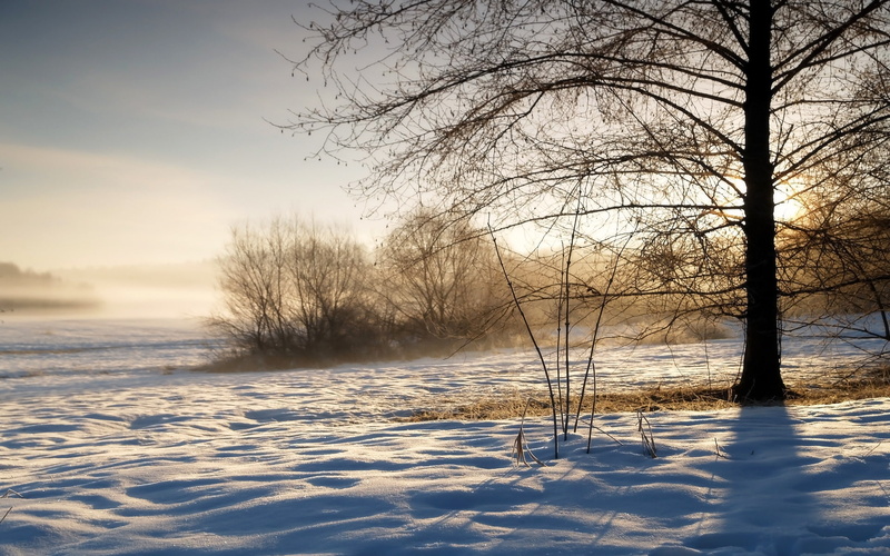 tree, winter, the sky, couples, sparkles, frost, cold, morning, 1080P, evaporation, sunrise, snow, shadows, haze, trees, the bushes, grass