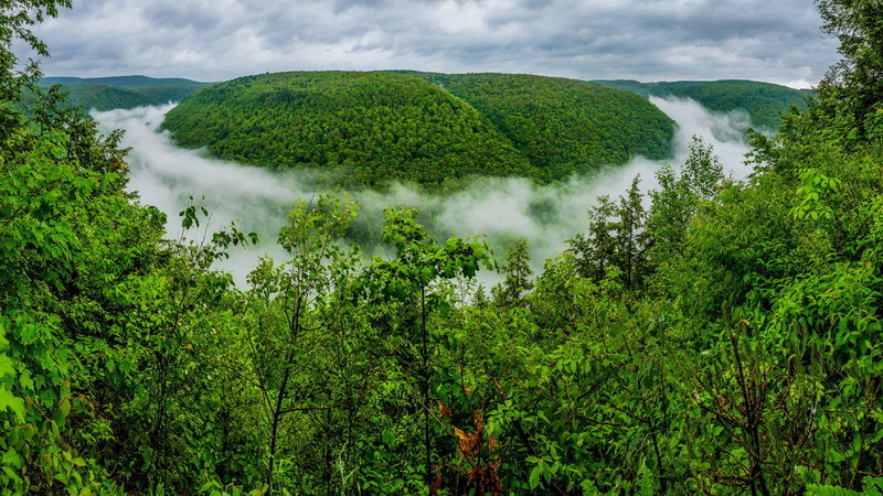 outdoors, grand, cloud - sky, canyon, environment, rainforest, tranquil scene, lush foliage, growth, plant, mountain, pennsylvania, foliage, field, fog