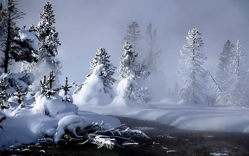 tranquility, Snow, snowcapped mountain, day, beauty in nature, pine tree, non-urban scene, land, Winter, cold temperature, plant, mountain, environment