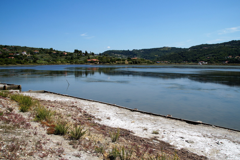plant, scenics - nature, sky, salt production, landscape, blue, slovenia, no people, strunjan, travel, sea salt, tree, tourism, piranská salt, 5K, salina
