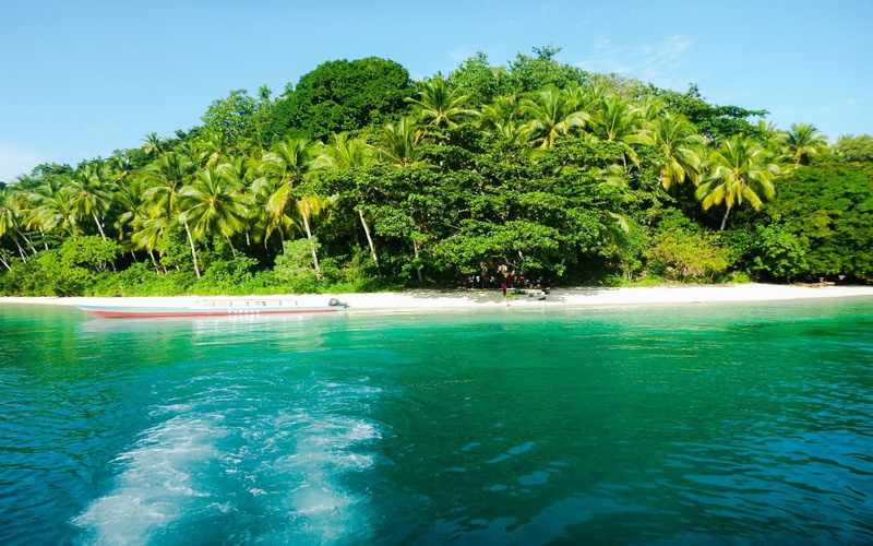 water, outdoors, waterfront, plant, tropical climate, Beach, Earth, 1080P, sky, turquoise colored, beauty in nature, day, no people, Ocean, tranquil scene