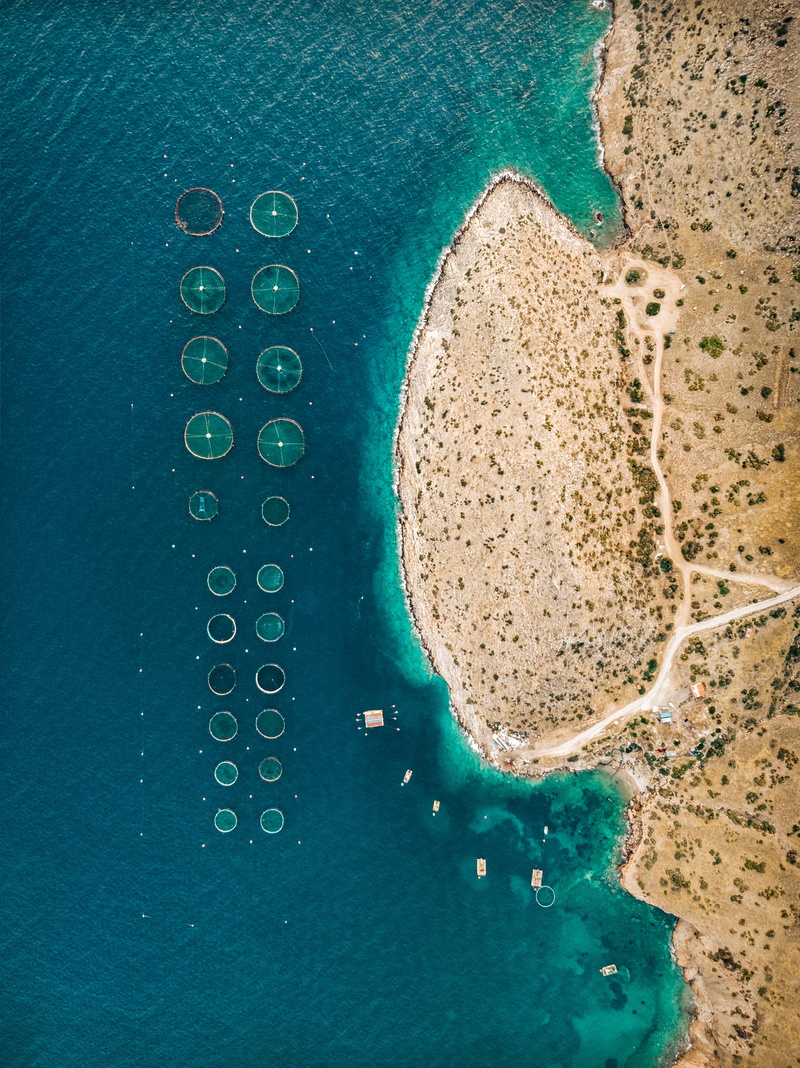 holiday, fishtrap, swimming, beach, water, drone, sand, pattern, close-up, no people, indoors, landscape, trip, fishing village, green color, 4K, food