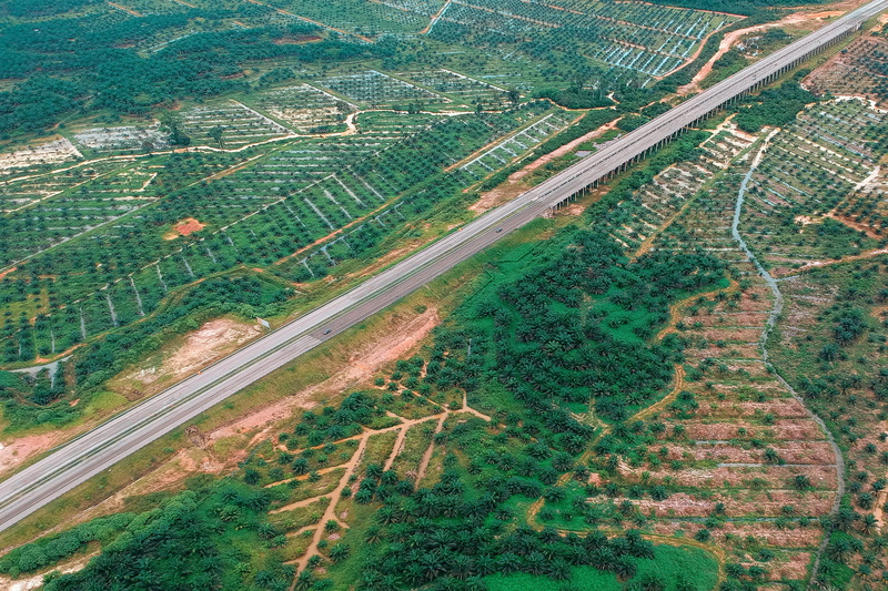 roadway, sight, no people, outdoors, field, rural scene, photo, plantation, plant, birdseye, agriculture, nature, tranquility, aerial, tranquil scene, green color